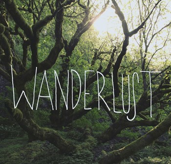 Wanderlust by Leah Flores art print
