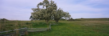 Fence in a field, American Camp, San Juan Island National Historic Park, San Juan Island, San Juan County, Washington State, USA by Panoramic Images art print