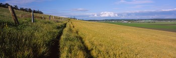 Wooden fence along a farm, Ebey&#39;s Prairie, Whidbey Island, Island County, Washington State, USA by Panoramic Images art print