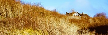 Historic home on a landscape, Whidbey Island, Island County, Washington State, USA by Panoramic Images art print