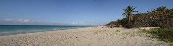 Sandy beach, Varadero Beach, Varadero, Matanzas, Cuba by Panoramic Images art print