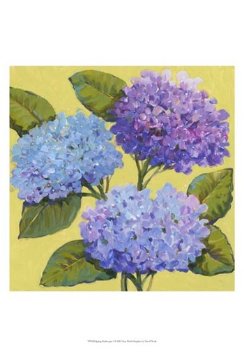 Spring Hydrangeas I by Timothy O&#39;Toole art print