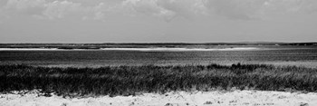 Shore Panorama IV by Jeff Pica art print