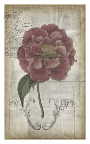French Floral III by Jennifer Goldberger art print