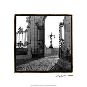 Gates to the Royal Palace, Budapest by Laura Denardo art print