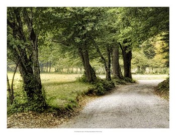 Path in the Country by Danny Head art print