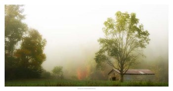 Fog at the Farm by Danny Head art print