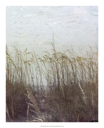 Through the Dunes II by Pam Ilosky art print