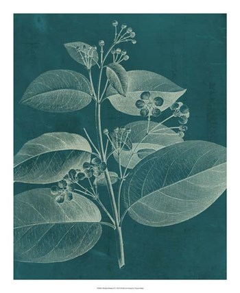 Modern Botany II by Vision Studio art print