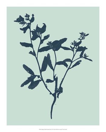 Indigo &amp; Mint Botanical Study VII by Vision Studio art print