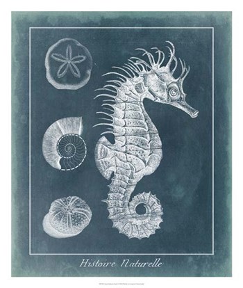 Azure Seahorse Study I by Vision Studio art print