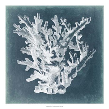 Azure Coral I by Vision Studio art print