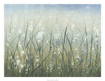 Bliss I by Timothy O&#39;Toole art print