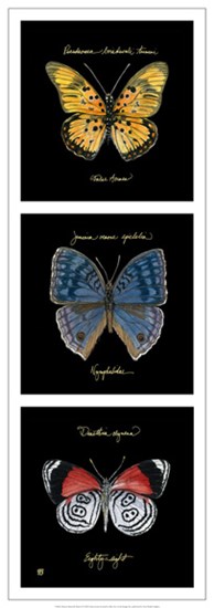 Primary Butterfly Panel II by Ginny Joyner art print