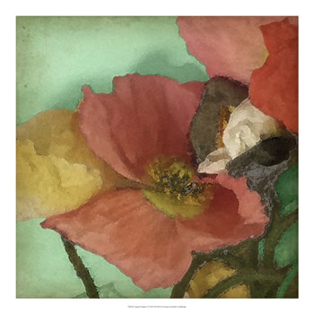 Aquatic Poppies I by Jennifer Goldberger art print