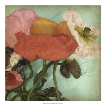 Aquatic Poppies II by Jennifer Goldberger art print