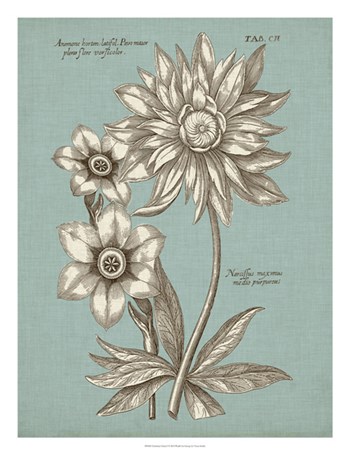 Chambray Chintz I by Vision Studio art print