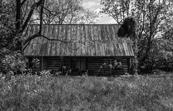 Abandoned Log Home art print