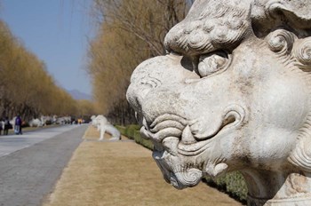 Carved statues of lion creature, Changling Sacred Way, Beijing, China by Cindy Miller Hopkins / Danita Delimont art print