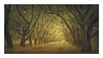 Evergreen, New Alley, Right Side by William Guion art print