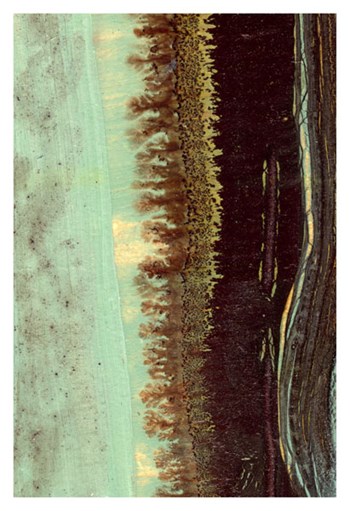Lichen II by J. McKenzie art print