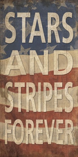 Stars and Stripes Forever by Sparx Studio art print