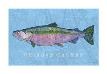Chinook Salmon by John W. Golden art print
