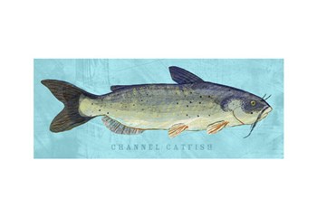 Channel Catfish by John W. Golden art print