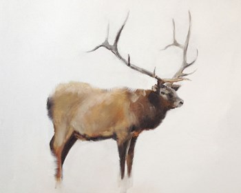 Elk by Jacqueline Neuwirth art print