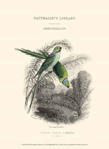 The Naturalist&#39;s Library I by W.h. Lizars art print
