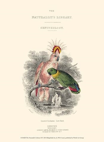 The Naturalist&#39;s Library II by W.h. Lizars art print