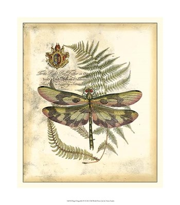 Regal Dragonfly IV by Vision Studio art print