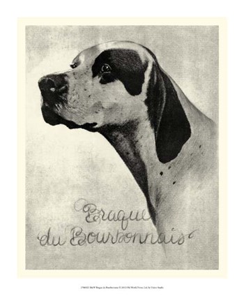 B&amp;W Brague du Bourbonnais by Vision Studio art print