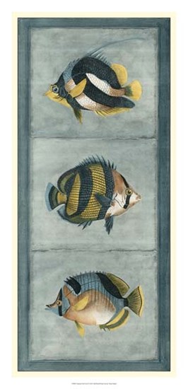 Tropical Fish Trio II by Vision Studio art print