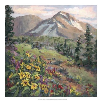 Western Vistas III by Nanette Oleson art print