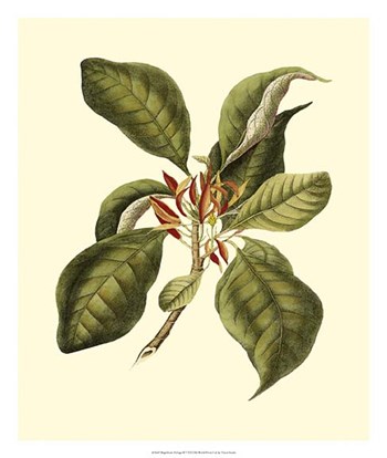 Magnificent Foliage III by Vision Studio art print