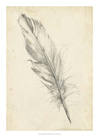 Feather Sketch III by Ethan Harper art print