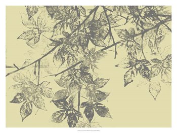 Grey Leaves II by Jennifer Goldberger art print