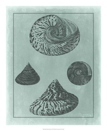 Spa Shell Collection II by Vision Studio art print