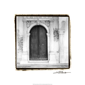Venetian Doorways II by Laura Denardo art print