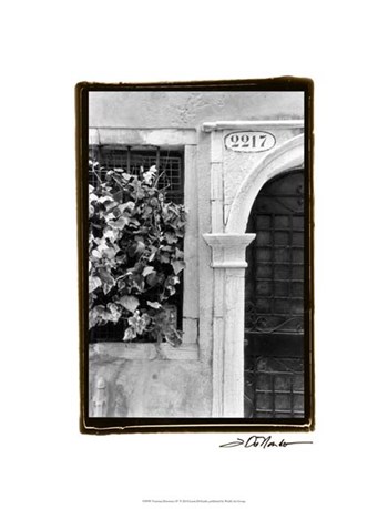 Venetian Doorways IV by Laura Denardo art print