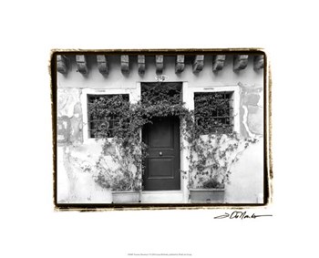 Venetian Doorways V by Laura Denardo art print