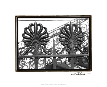 Wrought Iron Elegance I by Laura Denardo art print