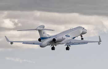 Gulfstream G550 Eitam of the Israeli Air Force by Giovanni Colla/Stocktrek Images art print