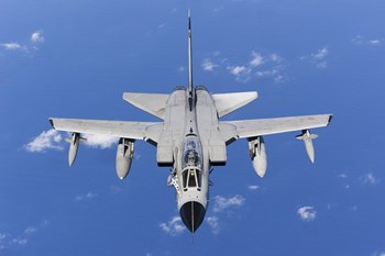 A Panavia Tornado IDS of the Italian Air Force (top view) by Gert Kromhout/Stocktrek Images art print