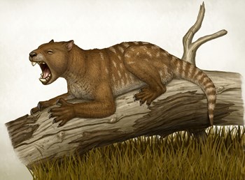 Thylacoleo Carnifex by Heraldo Mussolini/Stocktrek Images art print