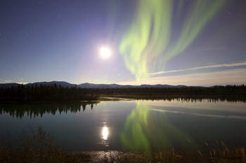 Aurora Borealis with Full Moon over the Yukon River in Canada by Joseph Bradley/Stocktrek Images art print