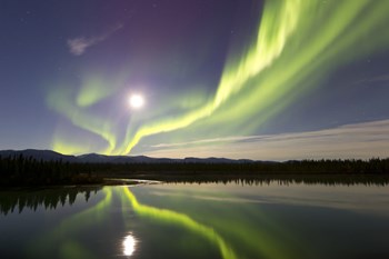 Aurora Borealis and Full Moon over the Yukon River, Canada by Joseph Bradley/Stocktrek Images art print