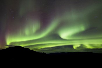Aurora Borealis over Gray Peak, Whitehorse, Yukon Canada by Joseph Bradley/Stocktrek Images art print