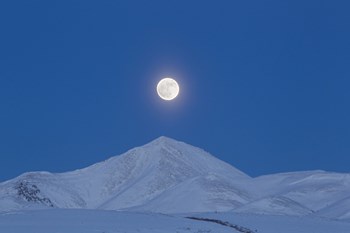 Full Moon over Ogilvie Mountains, Canada by Joseph Bradley/Stocktrek Images art print